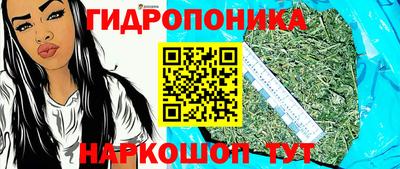 гидра Жуковский
