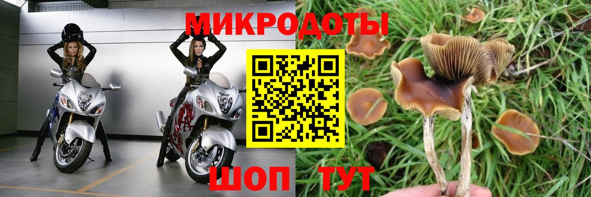 Людиново  где можно купить наркотик  Вход с VPN  Галлюциногенные грибы Magic Shrooms  Псилоцибиновые грибы MAGIC MUSHROOMS 